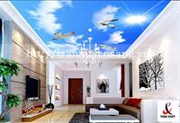 THIẾT KẾ TRẦN NHÀ XUYÊN SÁNG SỬ DỤNG CÁC BỨC TRANH BẦU TRỜI
