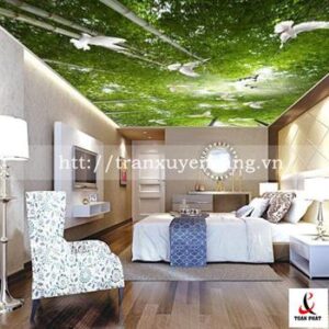 Công trình trần xuyên sáng tại Petrolimex Nam Định