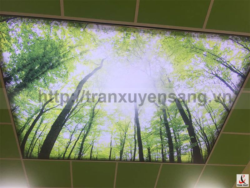 Báo giá thiết kế – THI công trần xuyên sáng, trần căng toàn phát