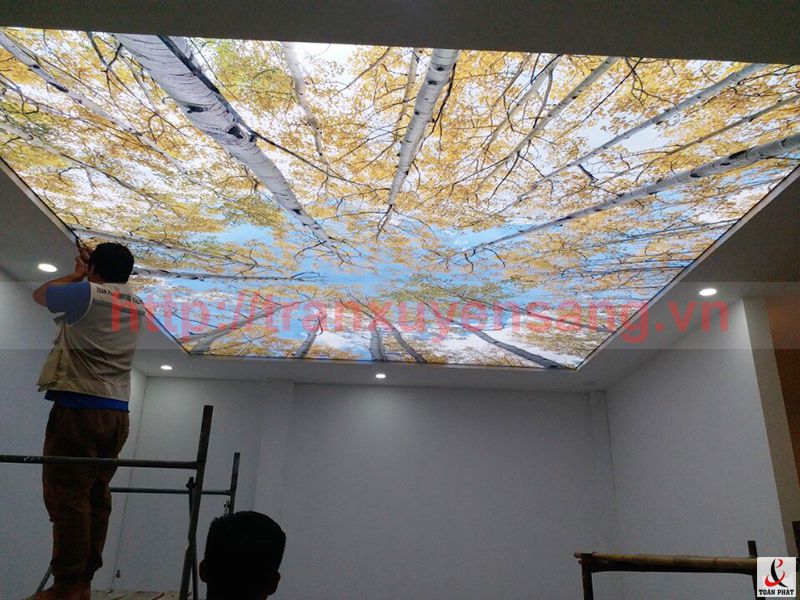 Thi công trần xuyên sáng tại Hưng Yên