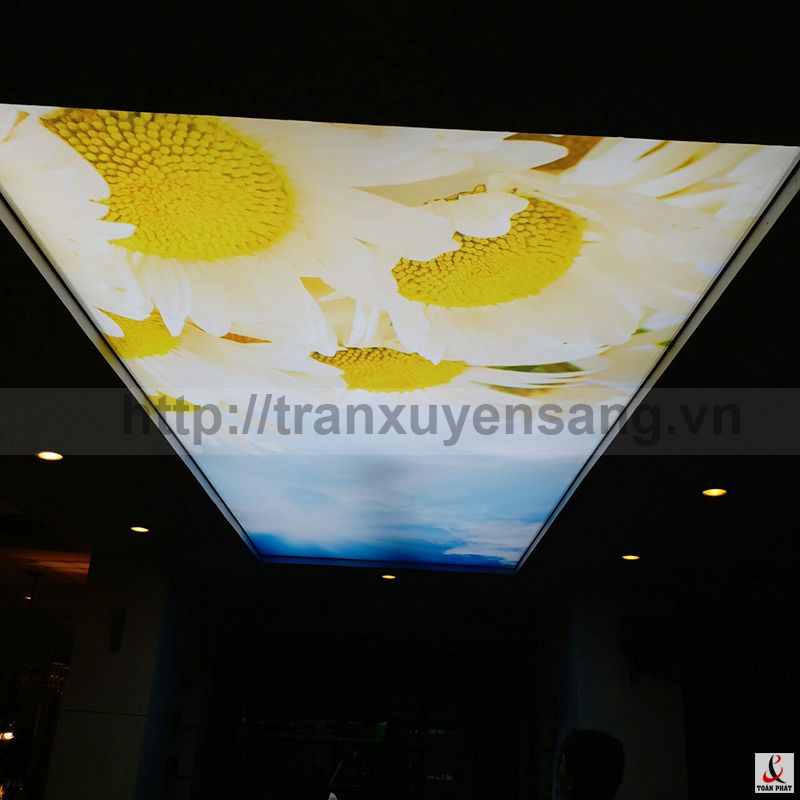 Thi công trần xuyên sáng tại biệt thự Lan Ly - Hòa Bình