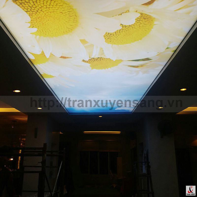 Dự án trần xuyên sáng tại nhà chị Thủy - Thành phố Hòa Bình