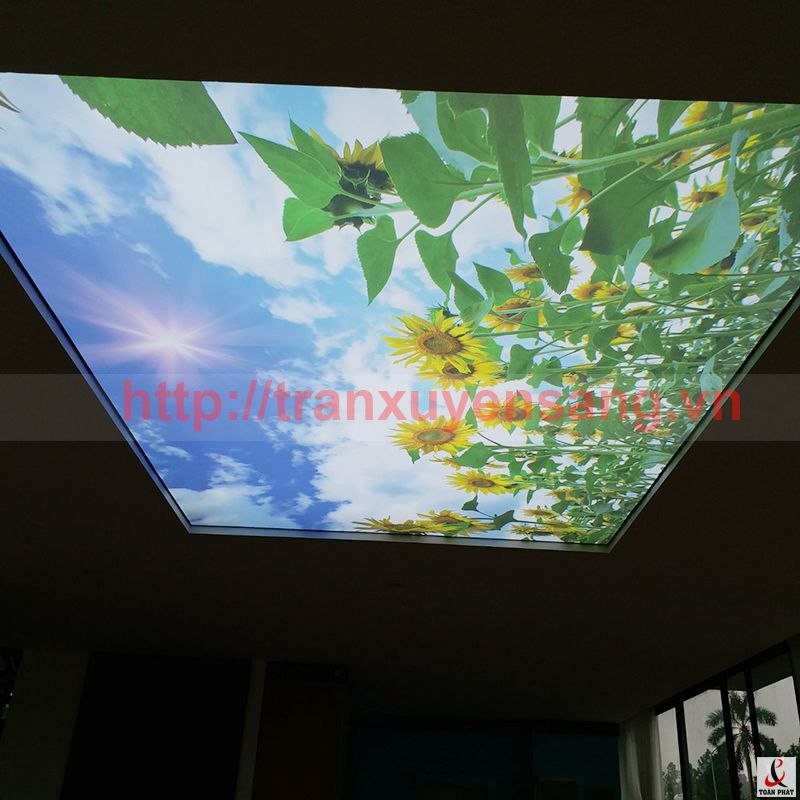 Thi công trần xuyên sáng tại Chi Villa Resort Flamingo Đại Lải