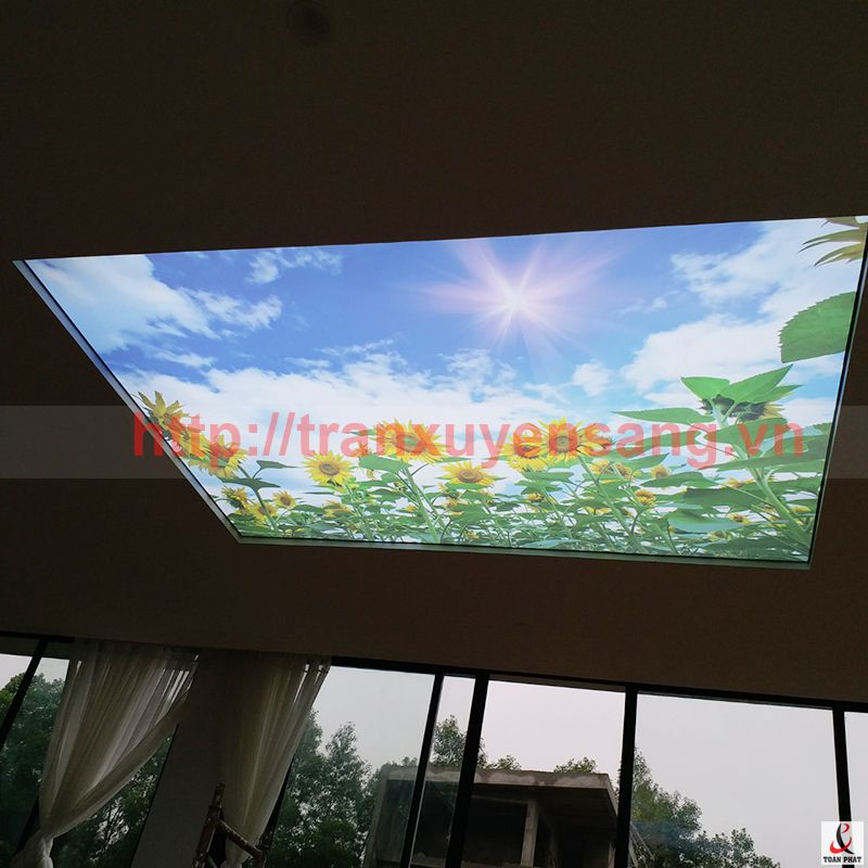 Thi công trần xuyên sáng tại Chi Villa Resort Flamingo Đại Lải