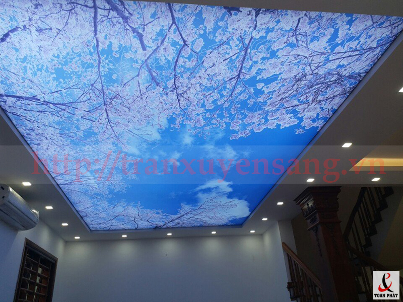 Hình ảnh tham khảo công trình trần xuyên sáng biệt thự