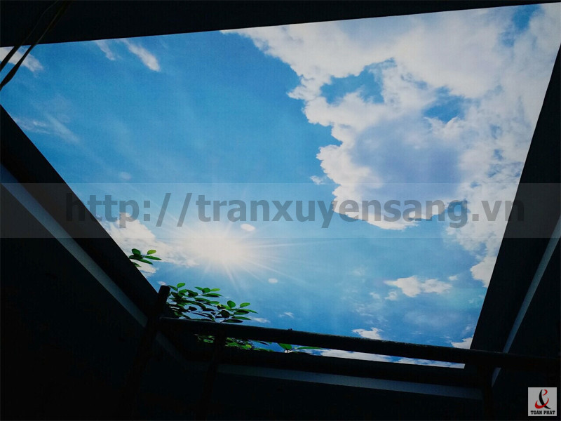 Trần xuyên sáng biệt thự Nam Villa