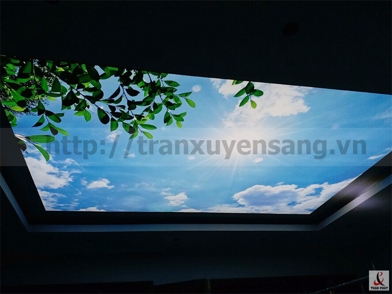 Tấm bầu trời kết hợp cây xanh trong phòng khách