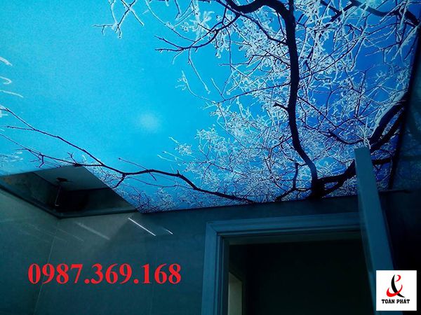 Mẫu trần căng xuyên sáng tại Royal City