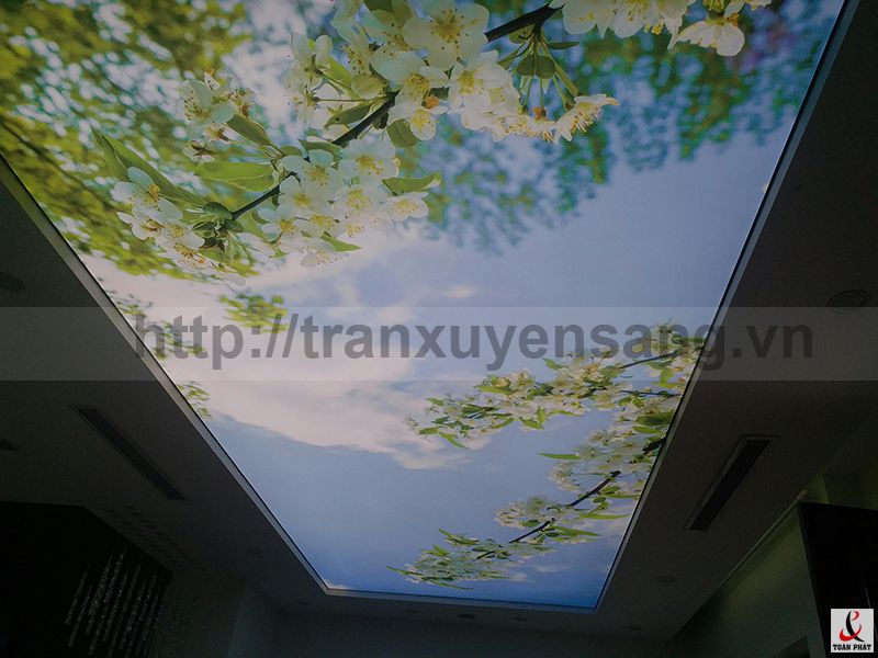 Thi công trần xuyên sáng Mrs. Lê Vinhome Long Biên