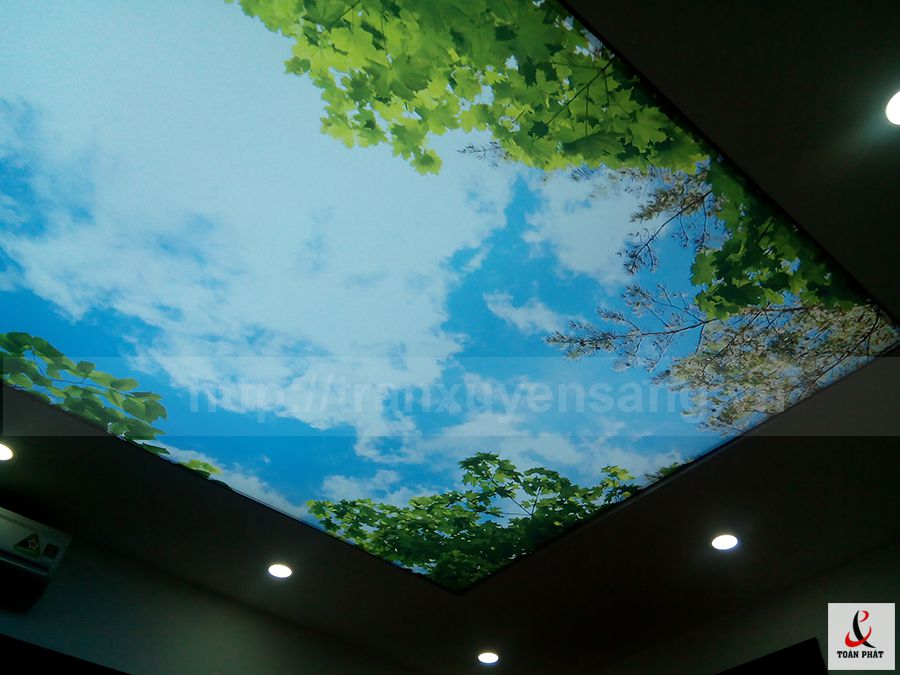 Một phần công trình trần phòng khách xuyên sáng