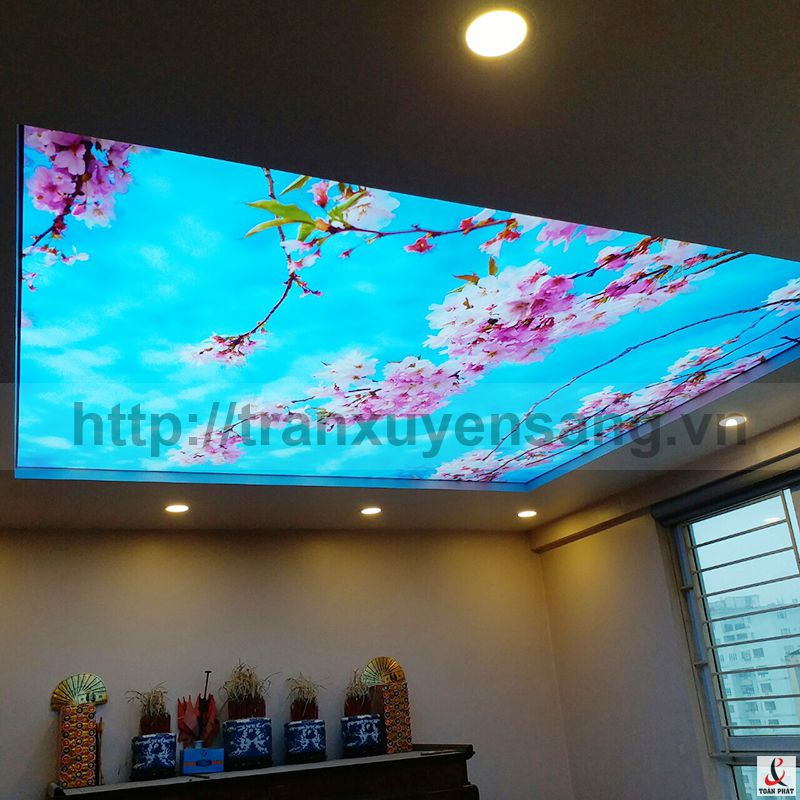 5 mẫu TRANG trí trần nhà đẹp và hiện đại